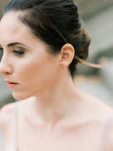 Load image into Gallery viewer, Polaris